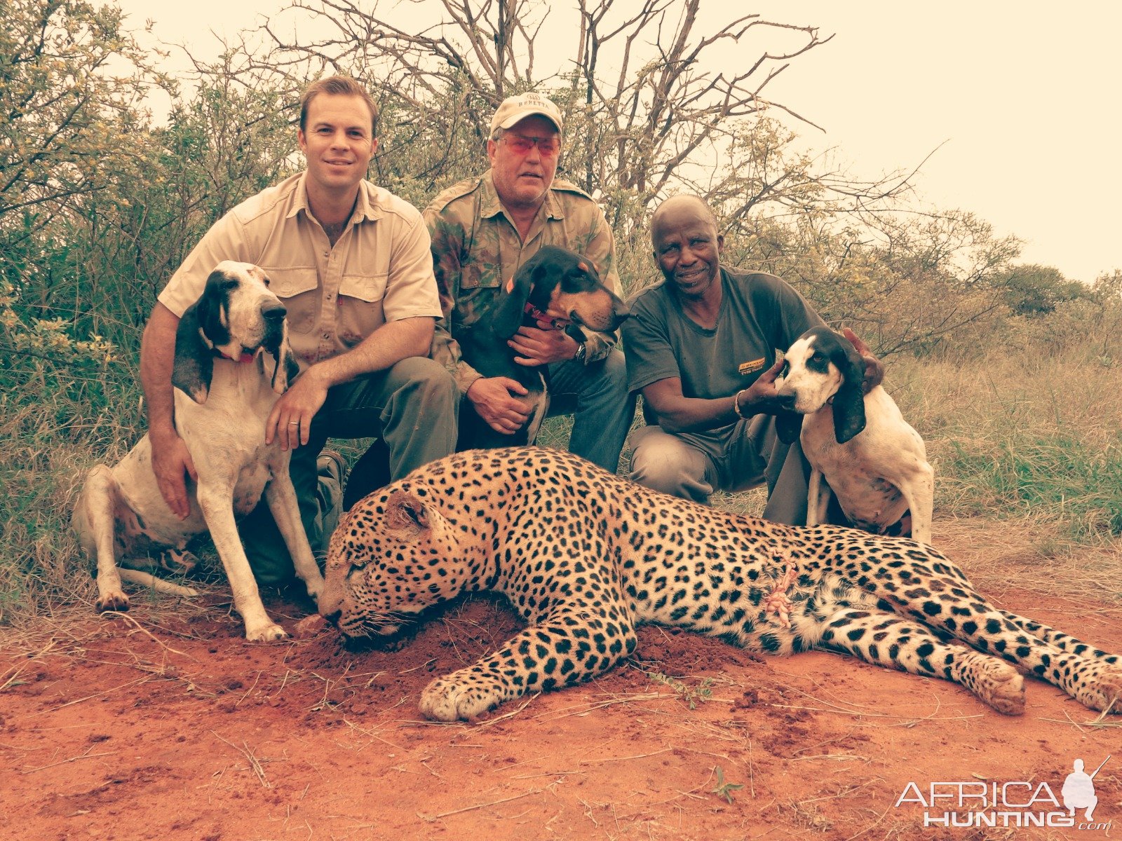 Leopard Hunting Mozambique