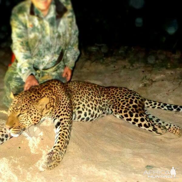 Leopard Hunting Mozambique | AfricaHunting.com