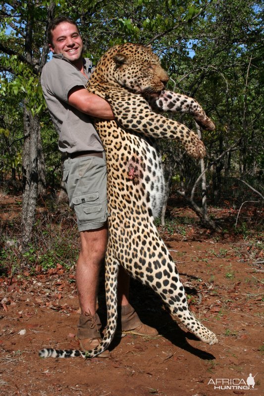 Leopard Hunting Mozambique | AfricaHunting.com