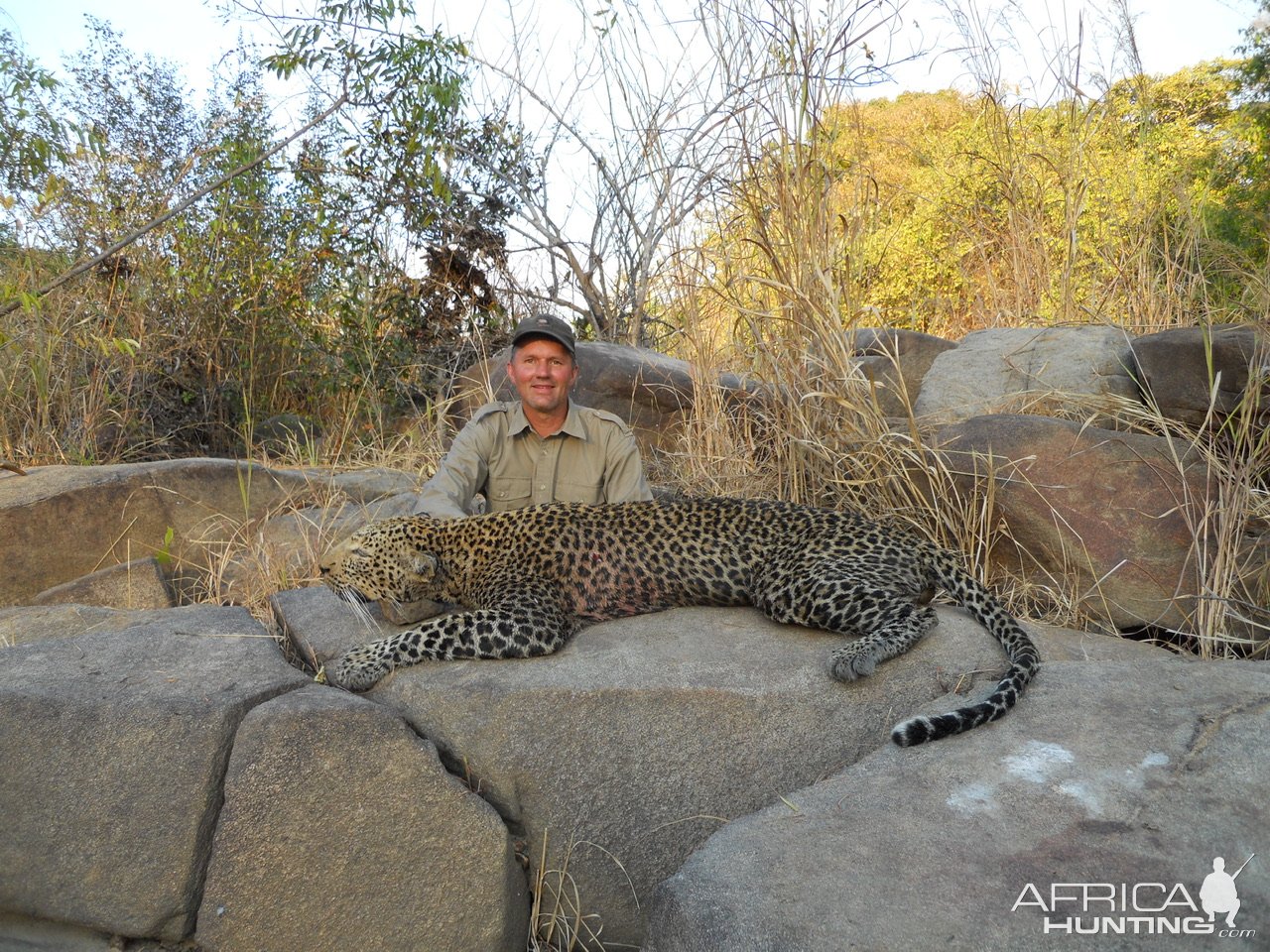 Leopard Hunting Mozambique | AfricaHunting.com