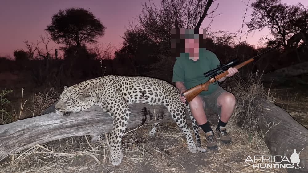 Leopard Hunting Namibia