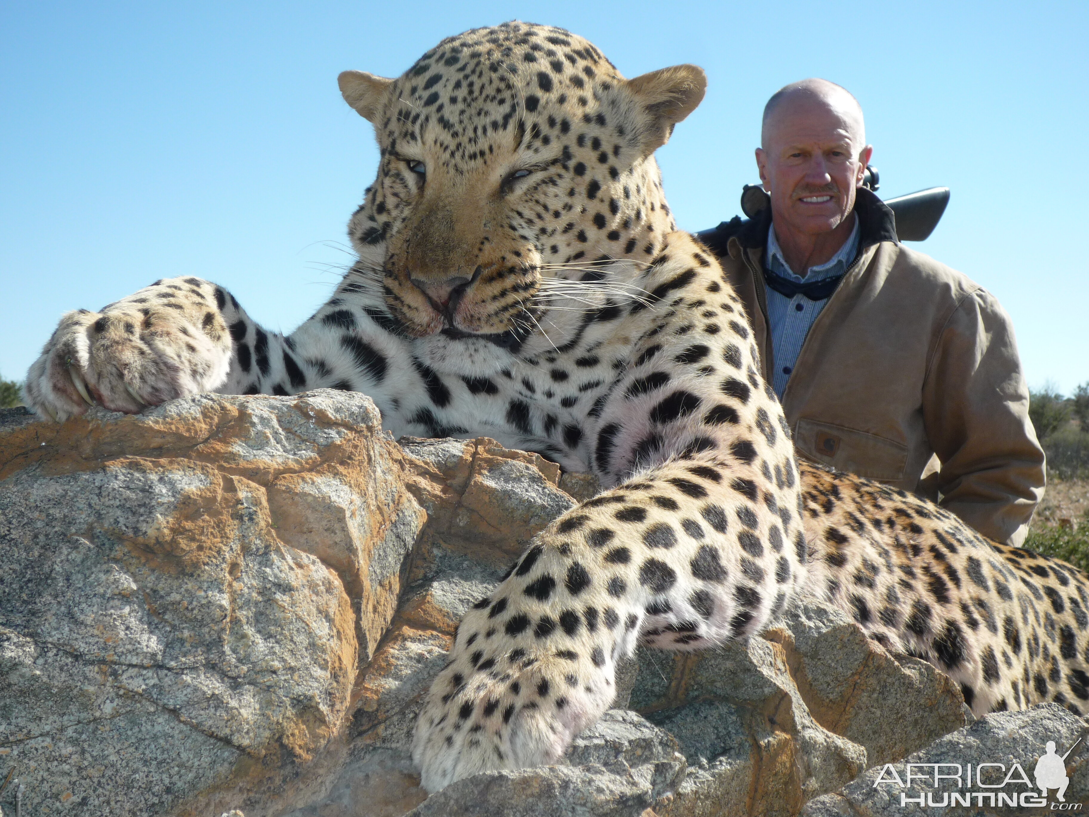 Leopard Hunting Namibia | AfricaHunting.com