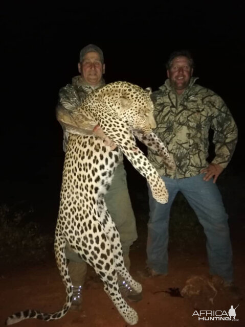 Leopard Hunting Namibia