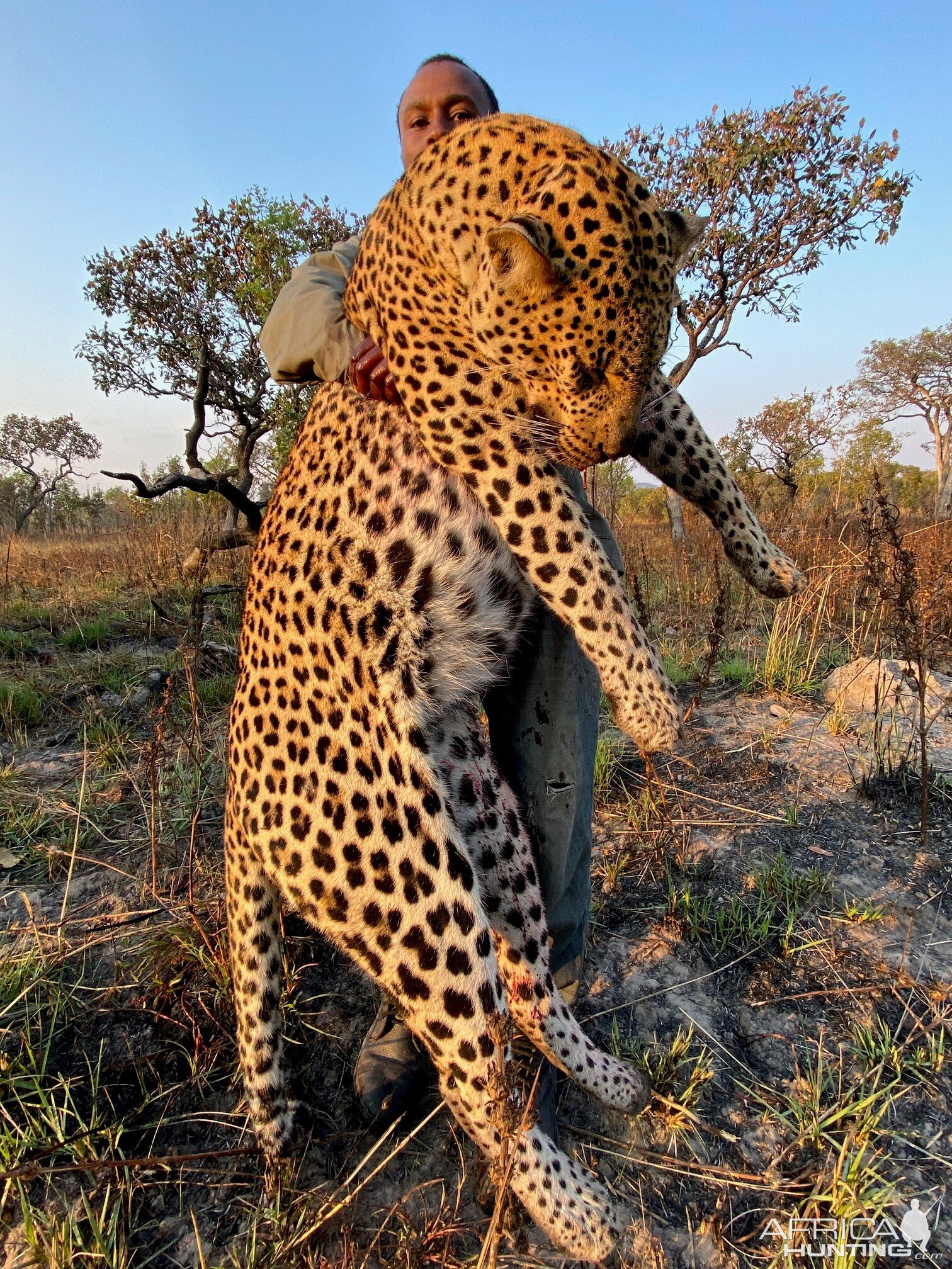 Leopard Hunting Tanzania