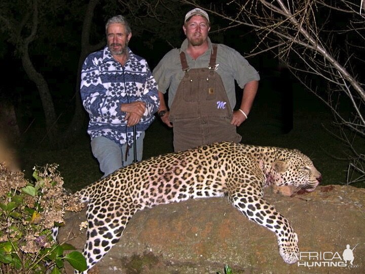 Leopard Hunting