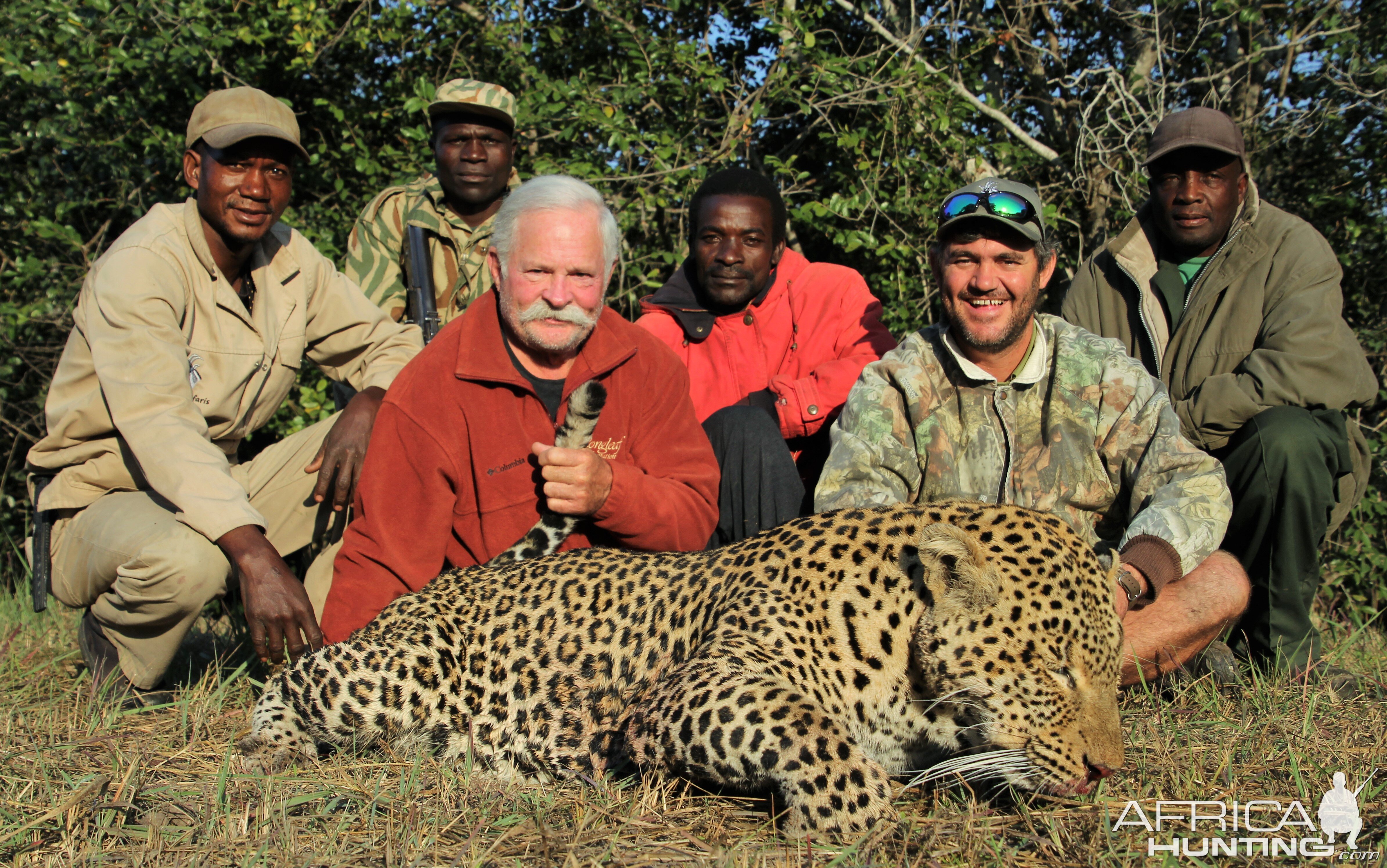 Leopard Zambia Hunt