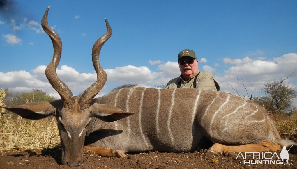 Lesser Kudu Hunt Tanzania