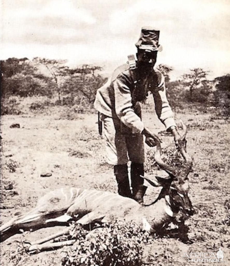 Lesser Kudu Hunting Tanzania