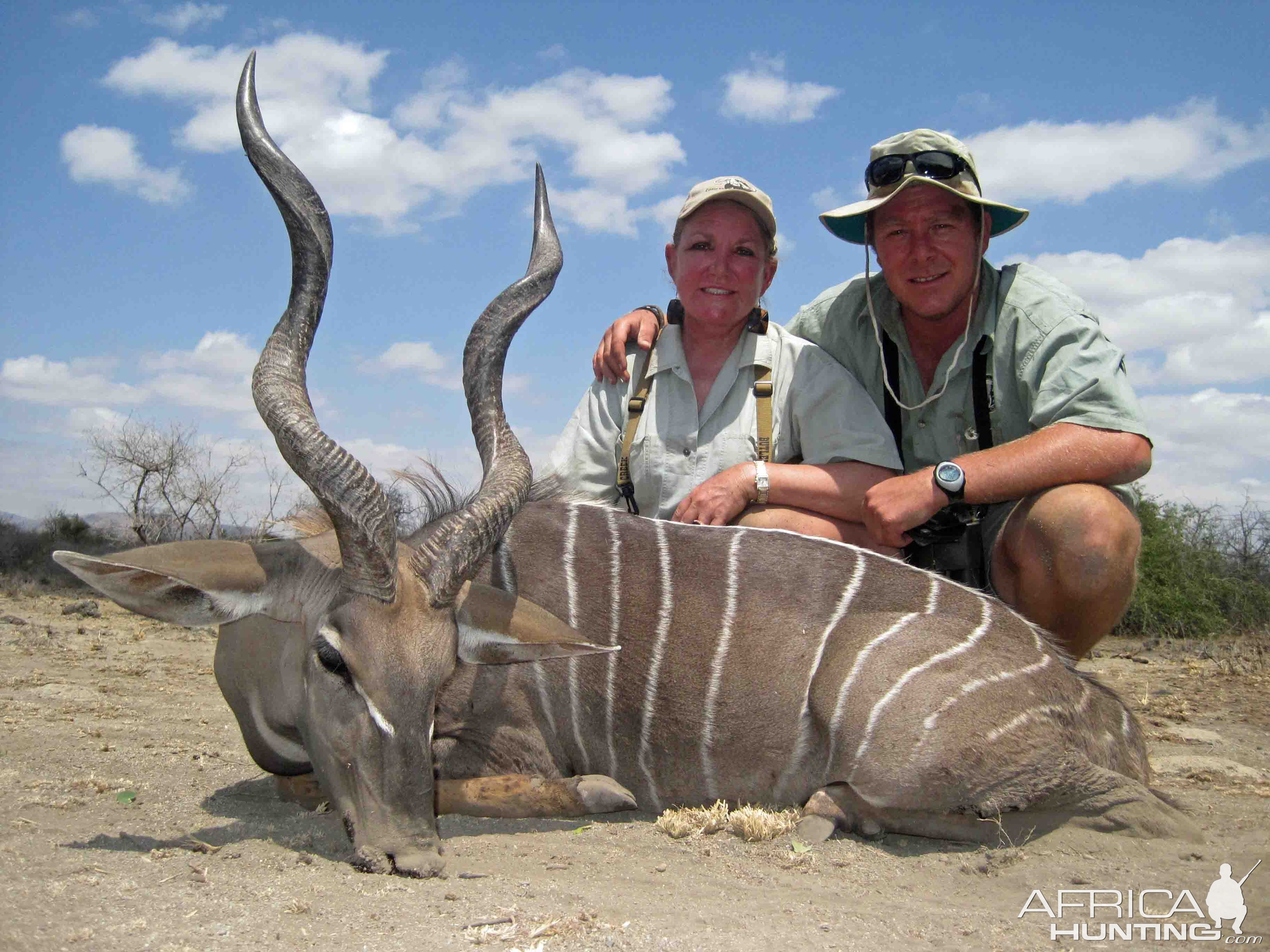 Lesser Kudu