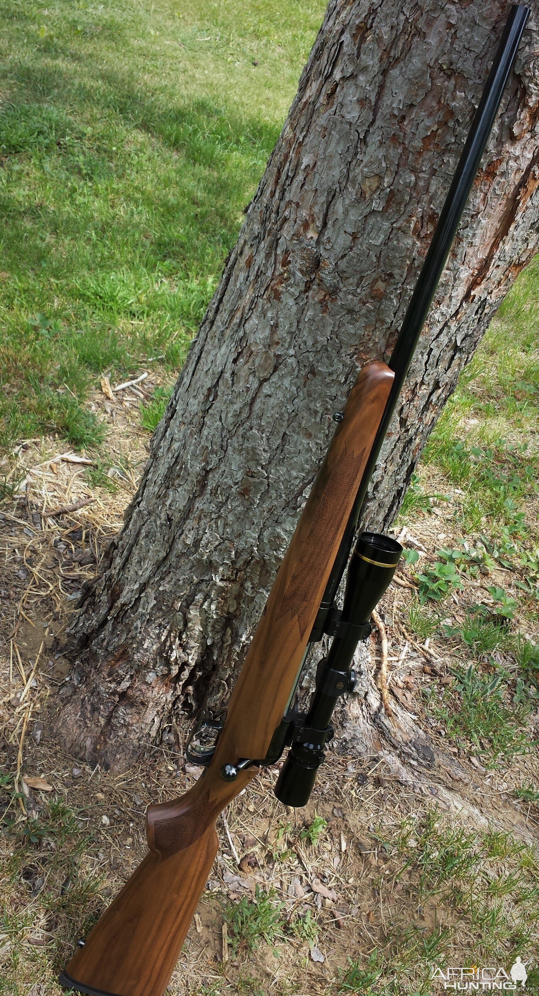 LH Shaw Rifle in .300 H&H