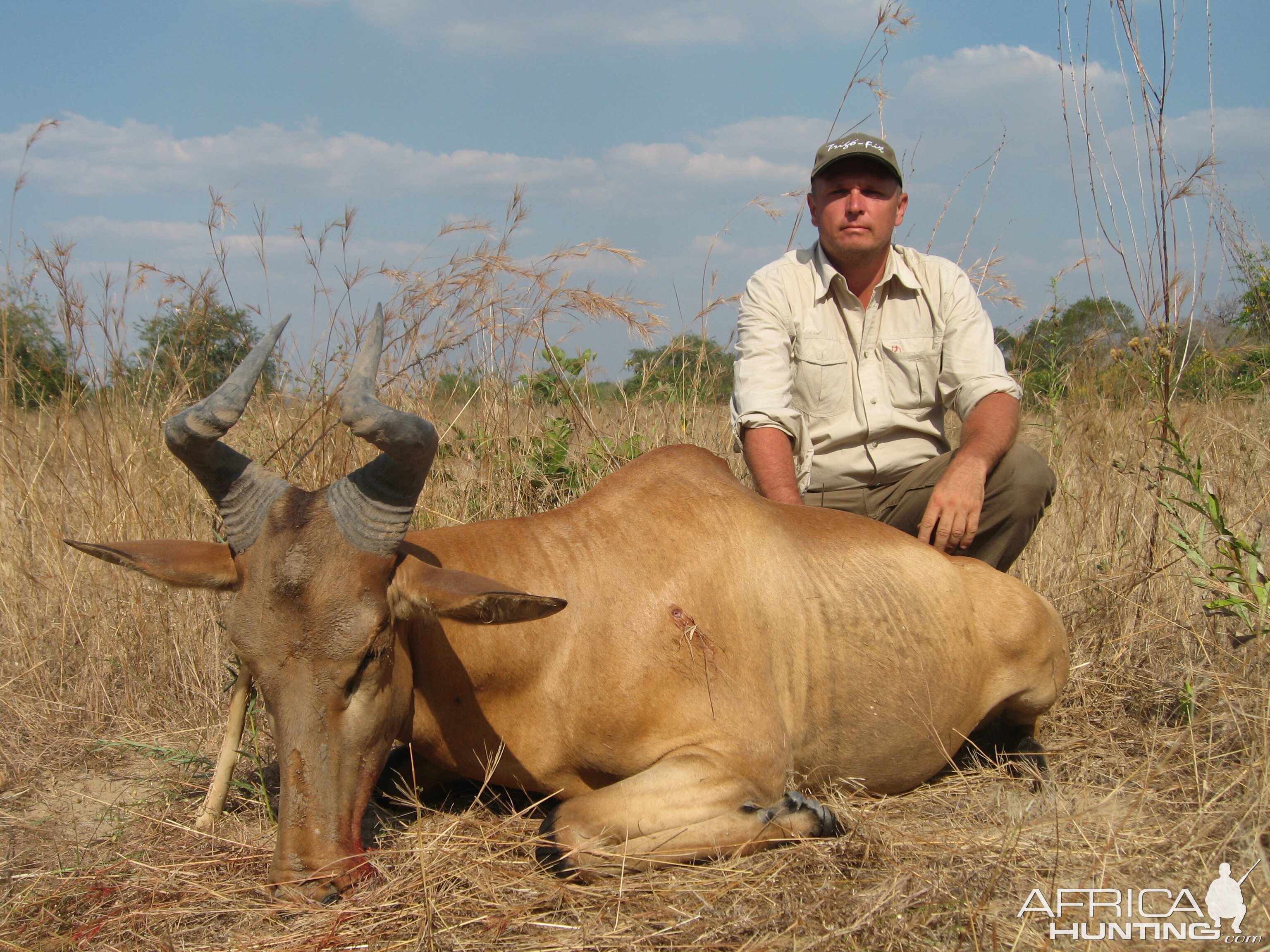 Lichtenstein Hartebeest Tanzania