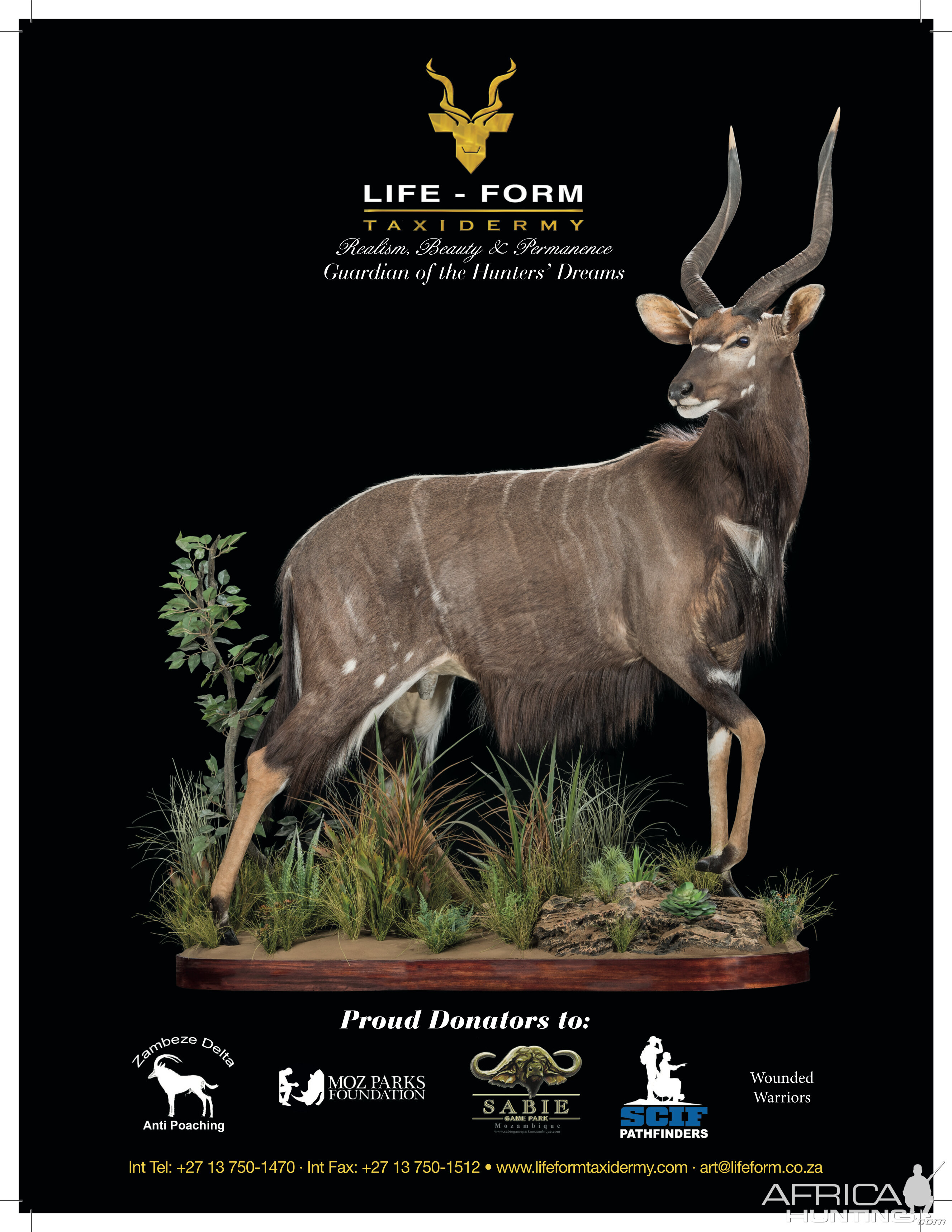 LIFE-FORM TAXIDERMY South Africa