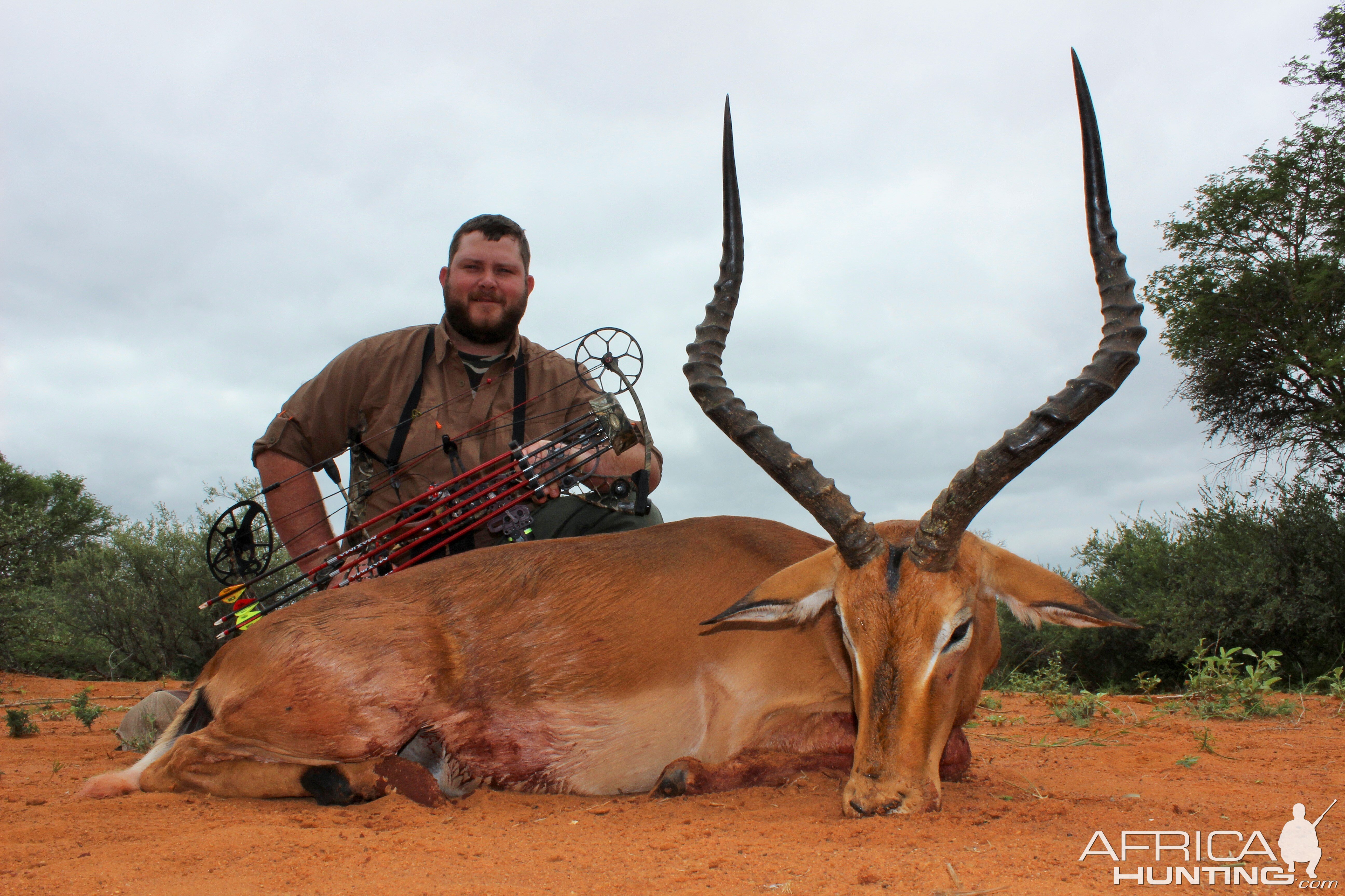 Limcroma Safaris archery Impala Ram