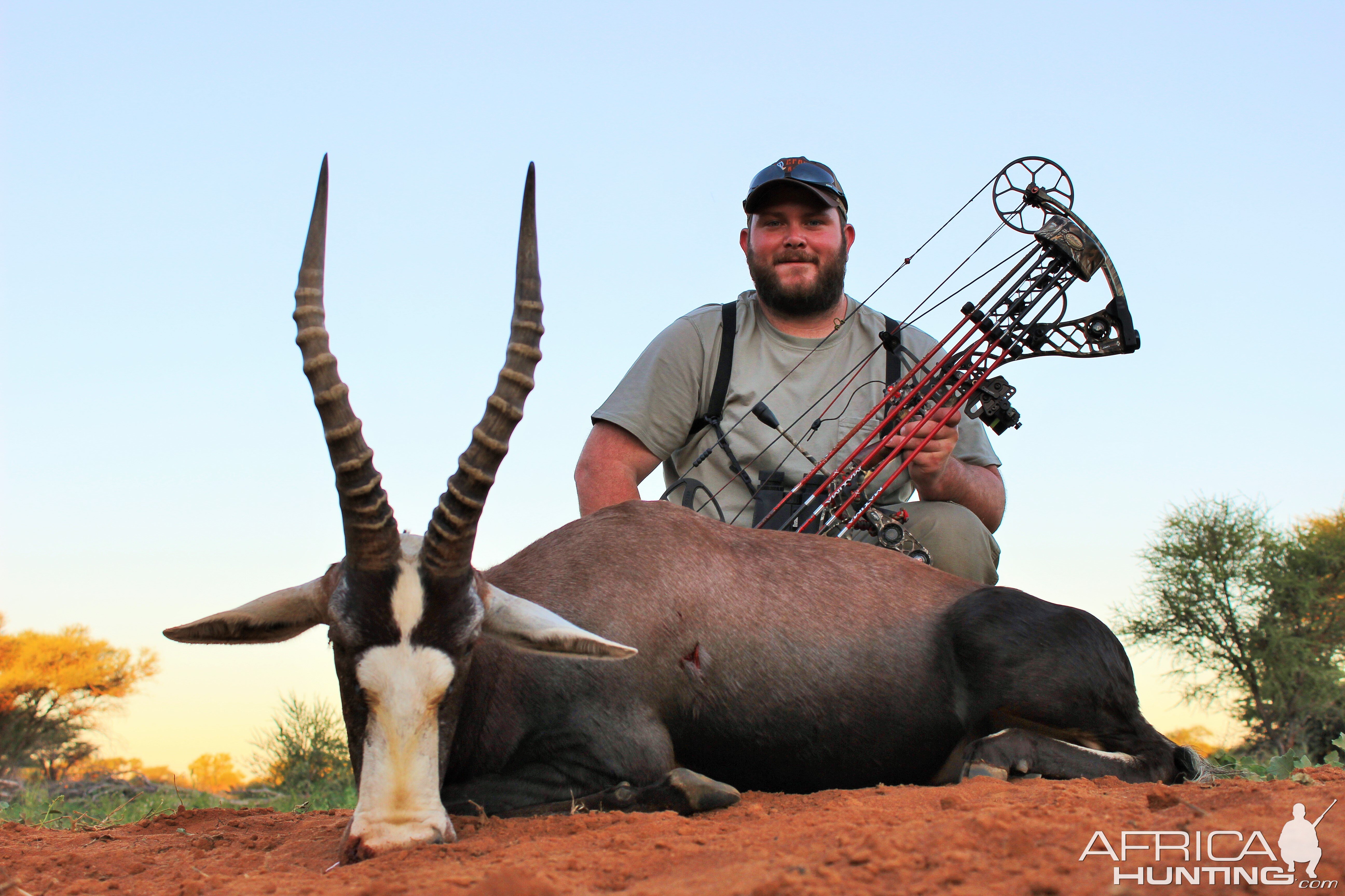 Limcroma Safaris blesbok