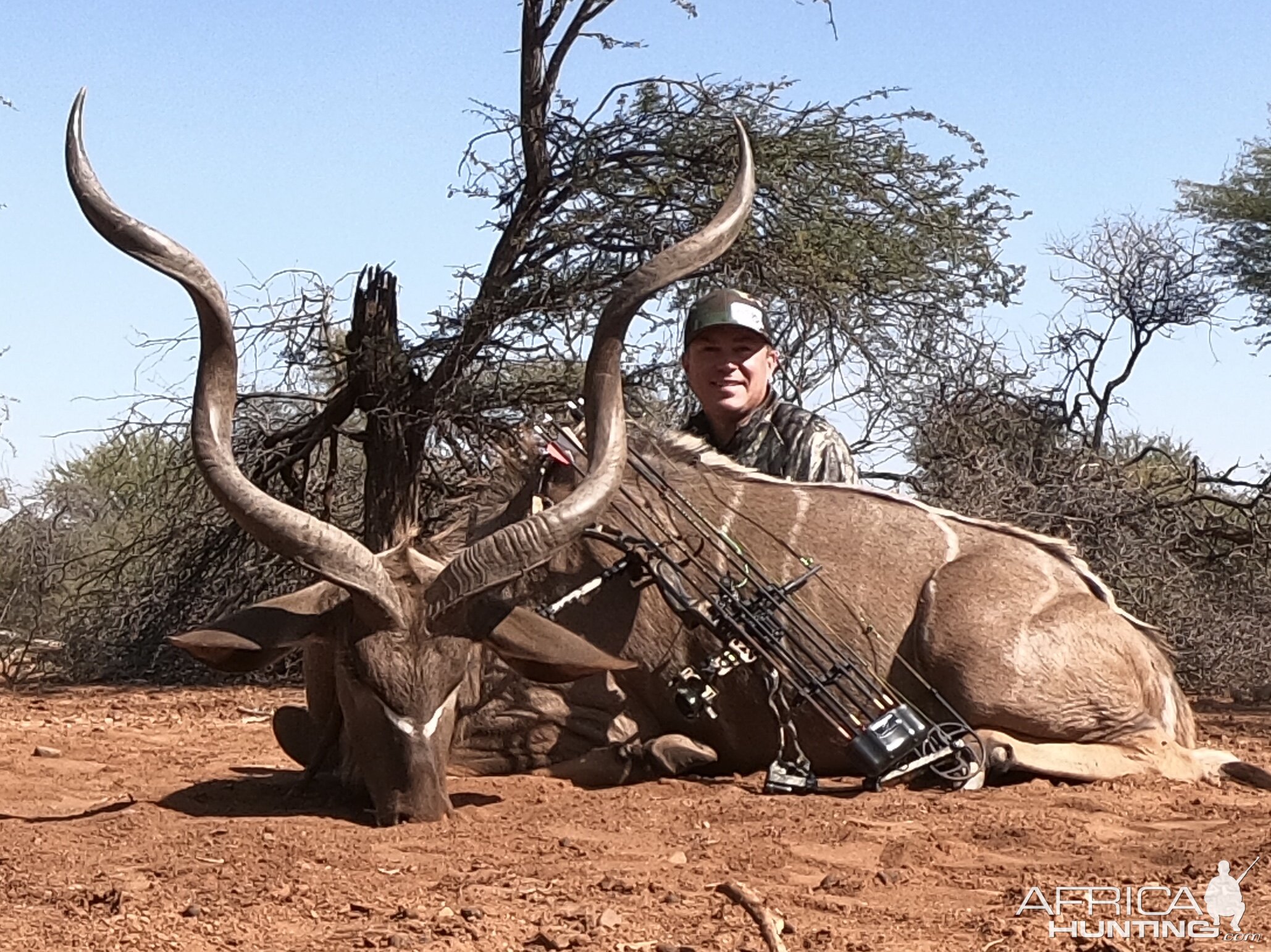 Limpopo Kudu