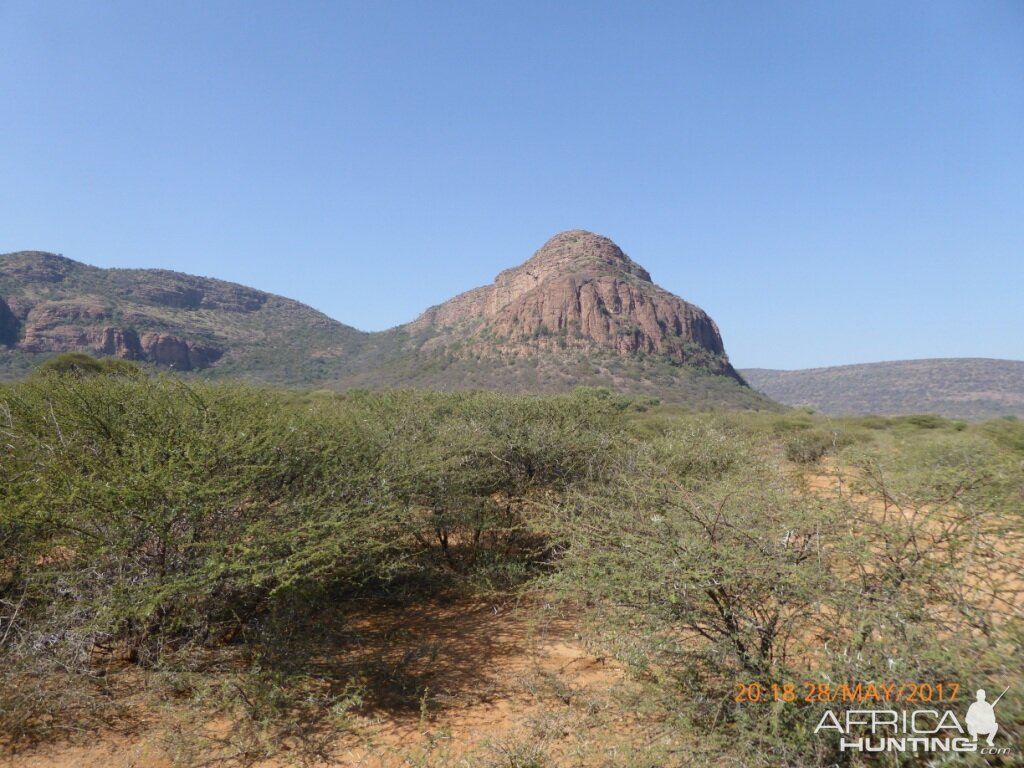 Limpopo landscape