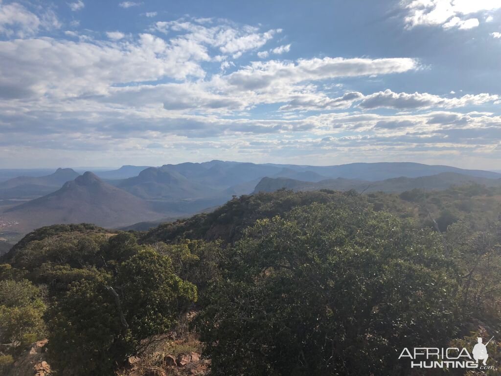 Limpopo Nature South Africa