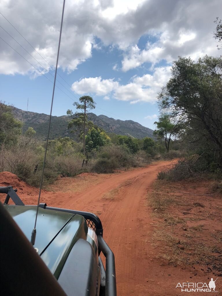 Limpopo Nature South Africa