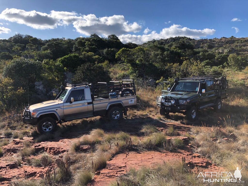 Limpopo Nature South Africa