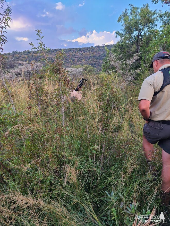 Limpopo Nature South Africa