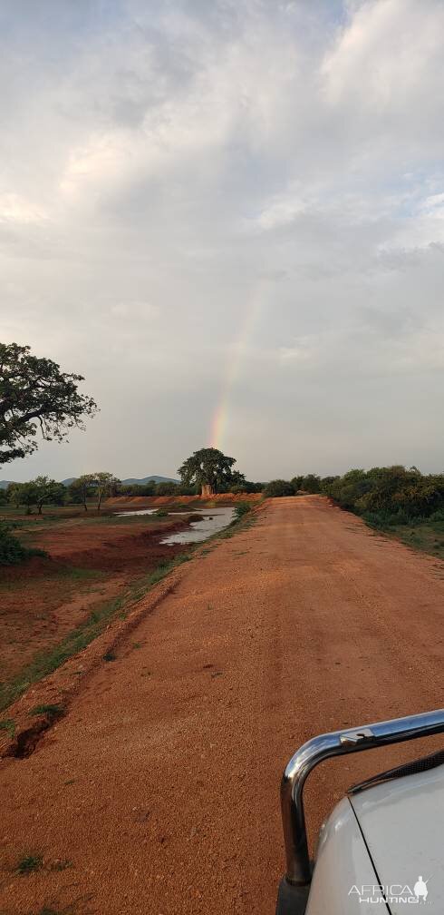 Limpopo Nature