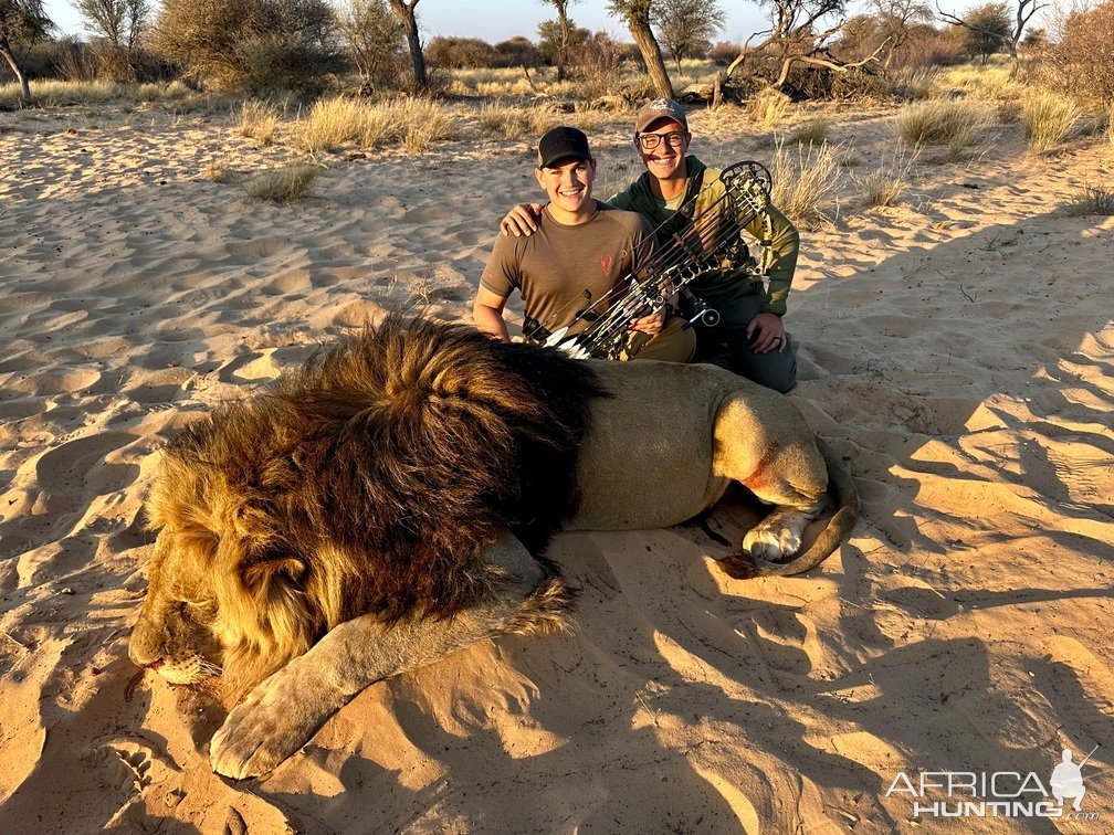 Lion Bow Hunt South Africa