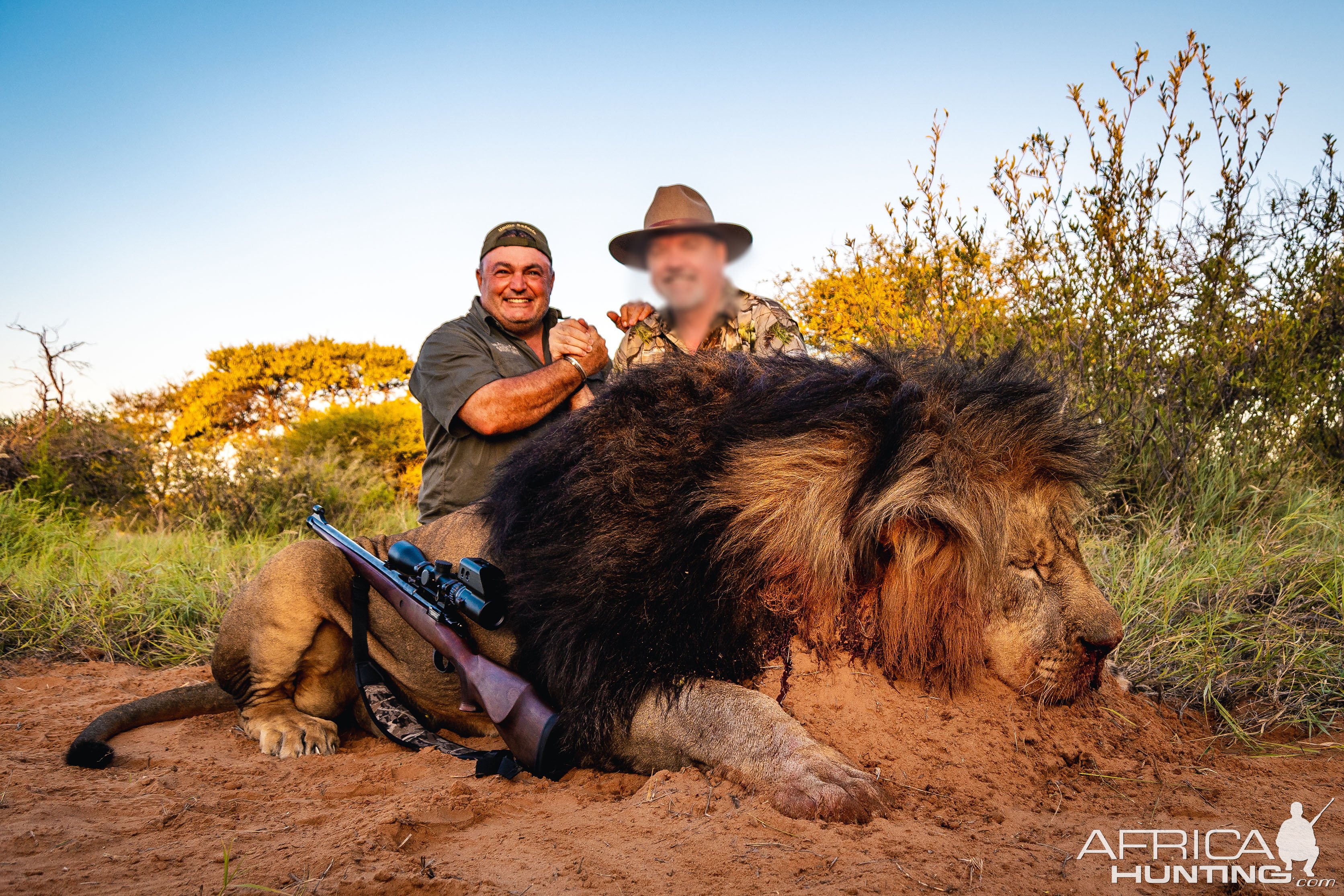 Lion Hunt Kalahari South Africa