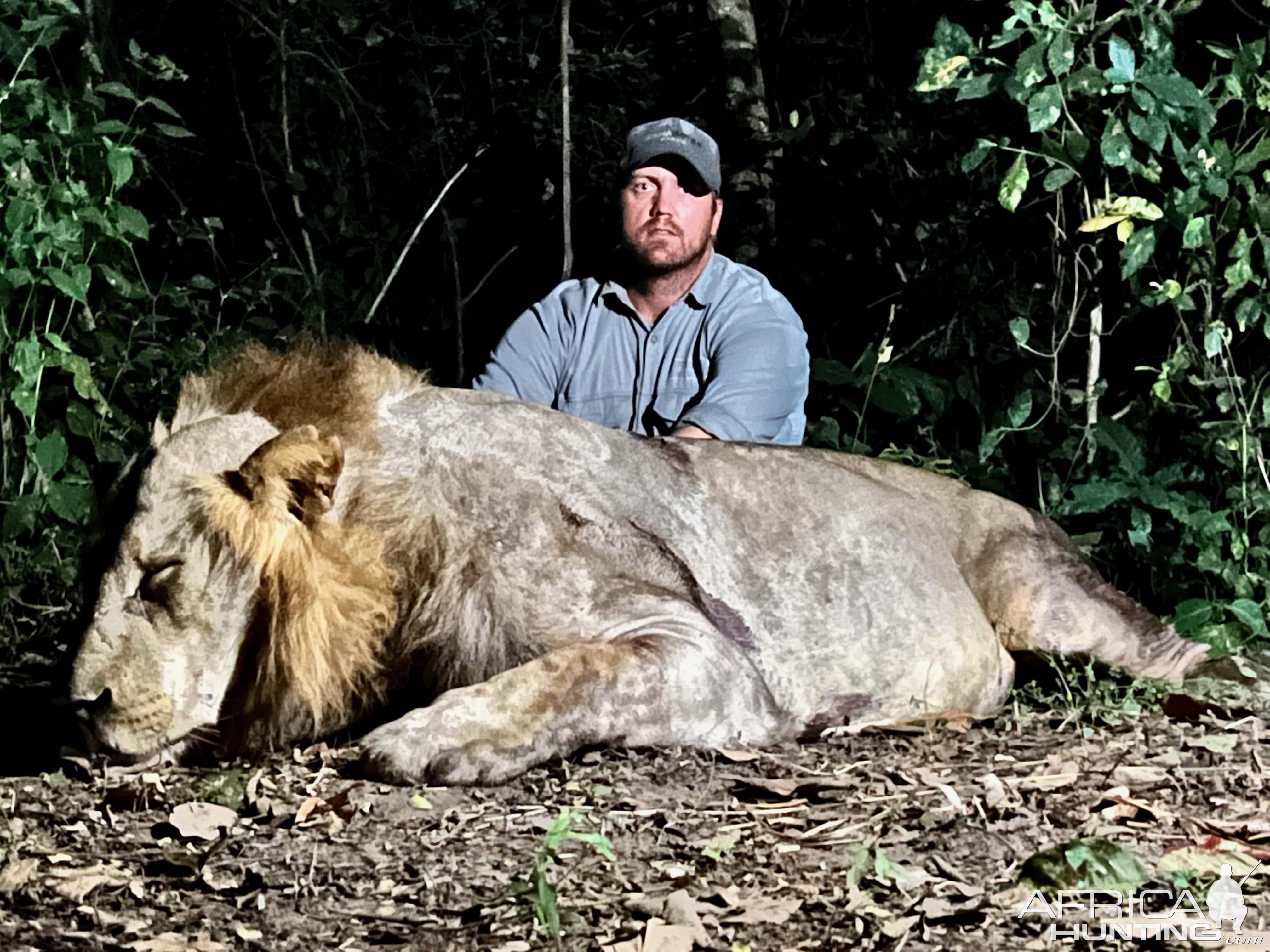 Lion Hunt Namibia