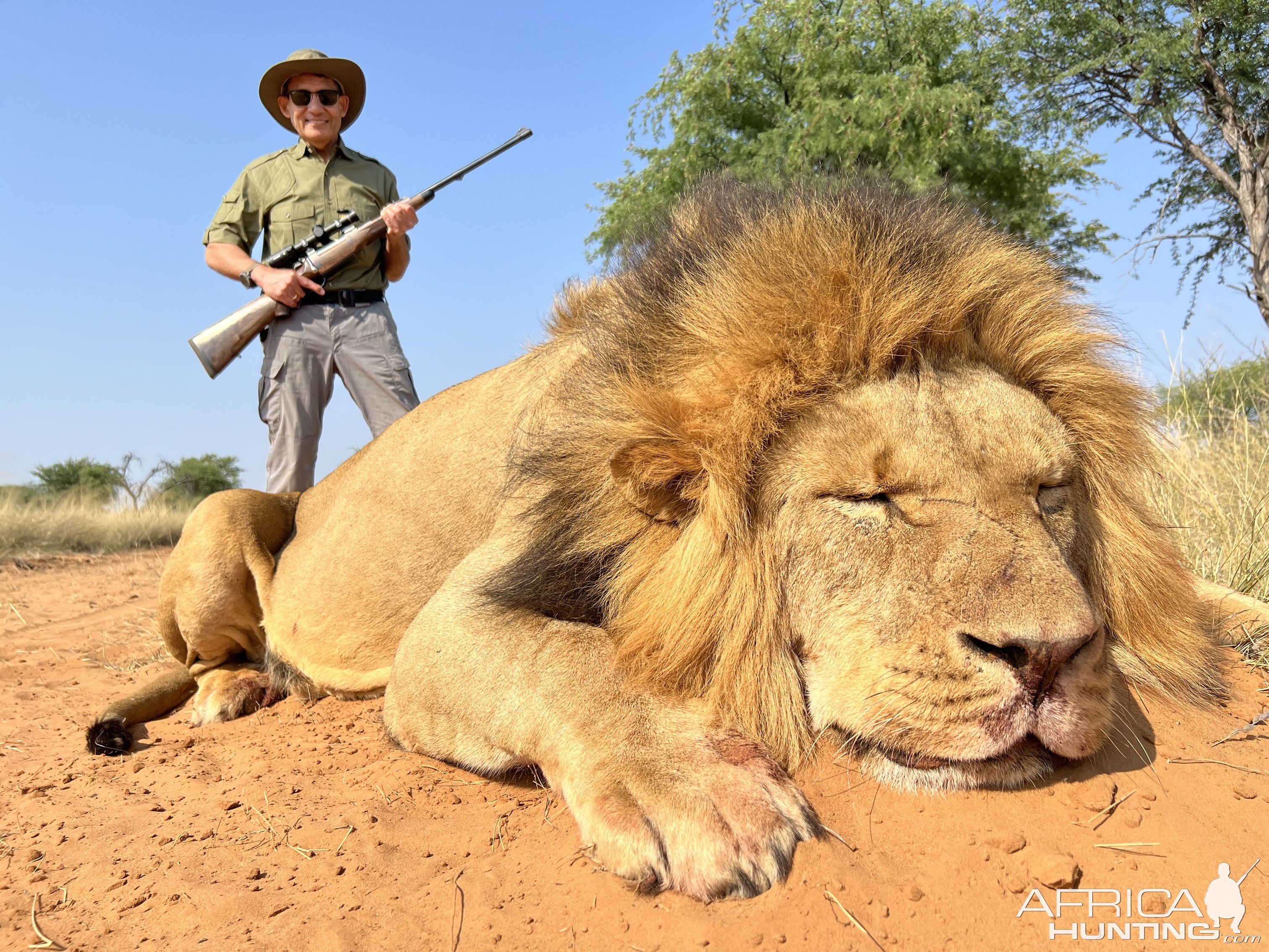 Lion Hunt South Africa | AfricaHunting.com