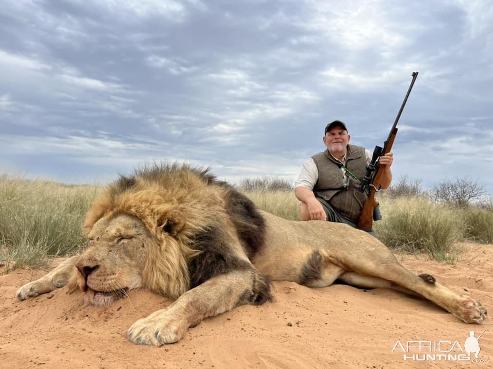 Lion Hunt South Africa | AfricaHunting.com