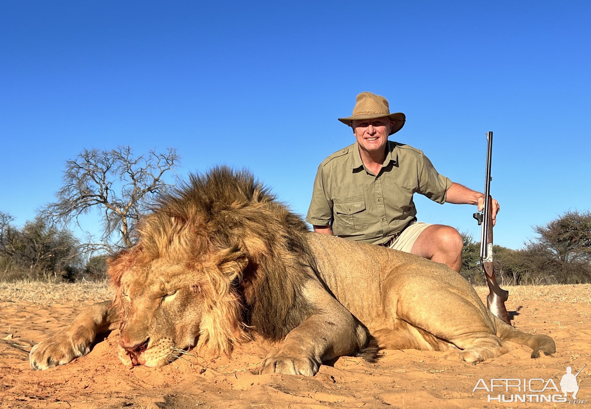 Lion Hunt South Africa | AfricaHunting.com