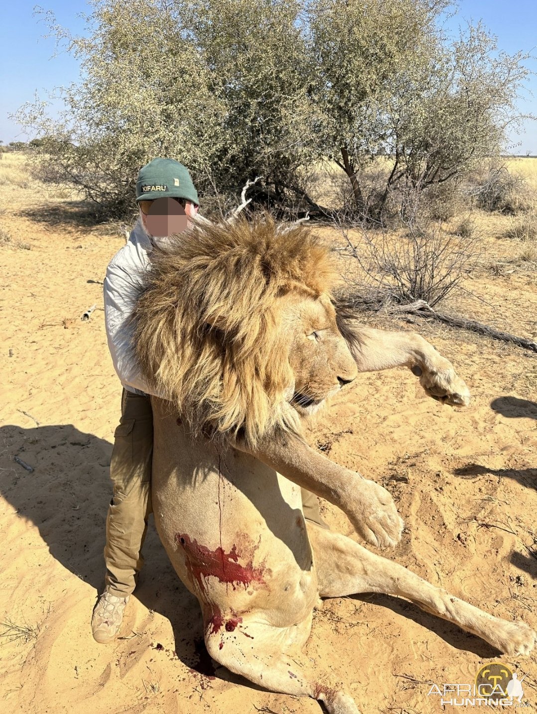 Lion Hunt South Africa