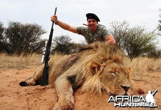 Lion hunt South-Africa | AfricaHunting.com