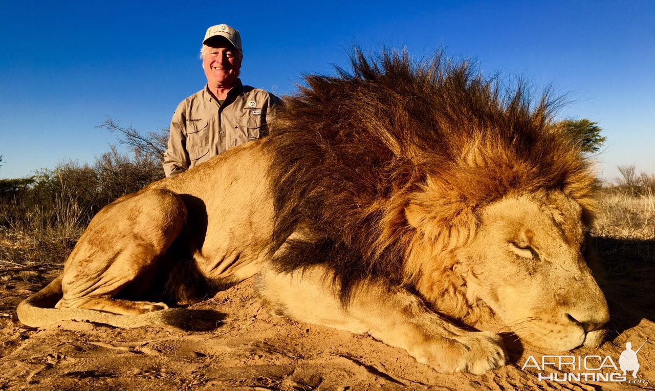 Lion Hunt South Africa | AfricaHunting.com