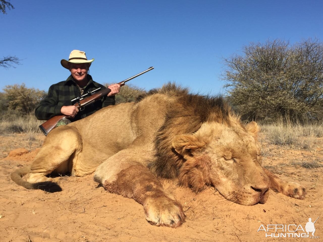 Lion Hunt South Africa | AfricaHunting.com