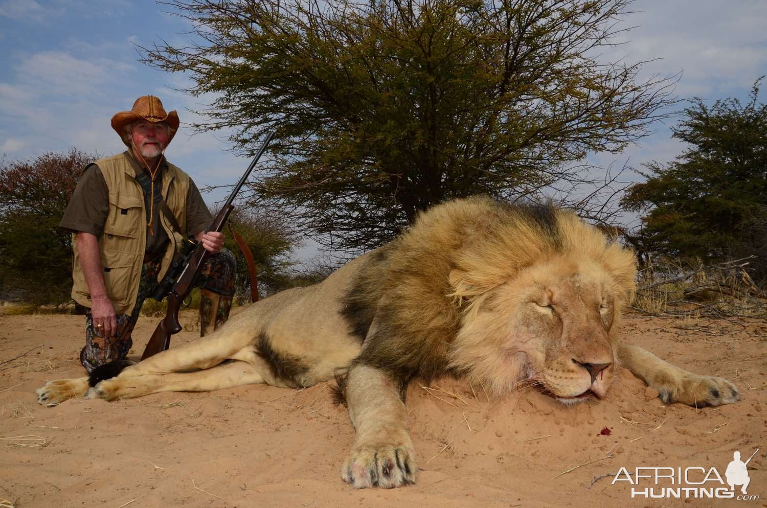 Lion Hunt South Africa | AfricaHunting.com