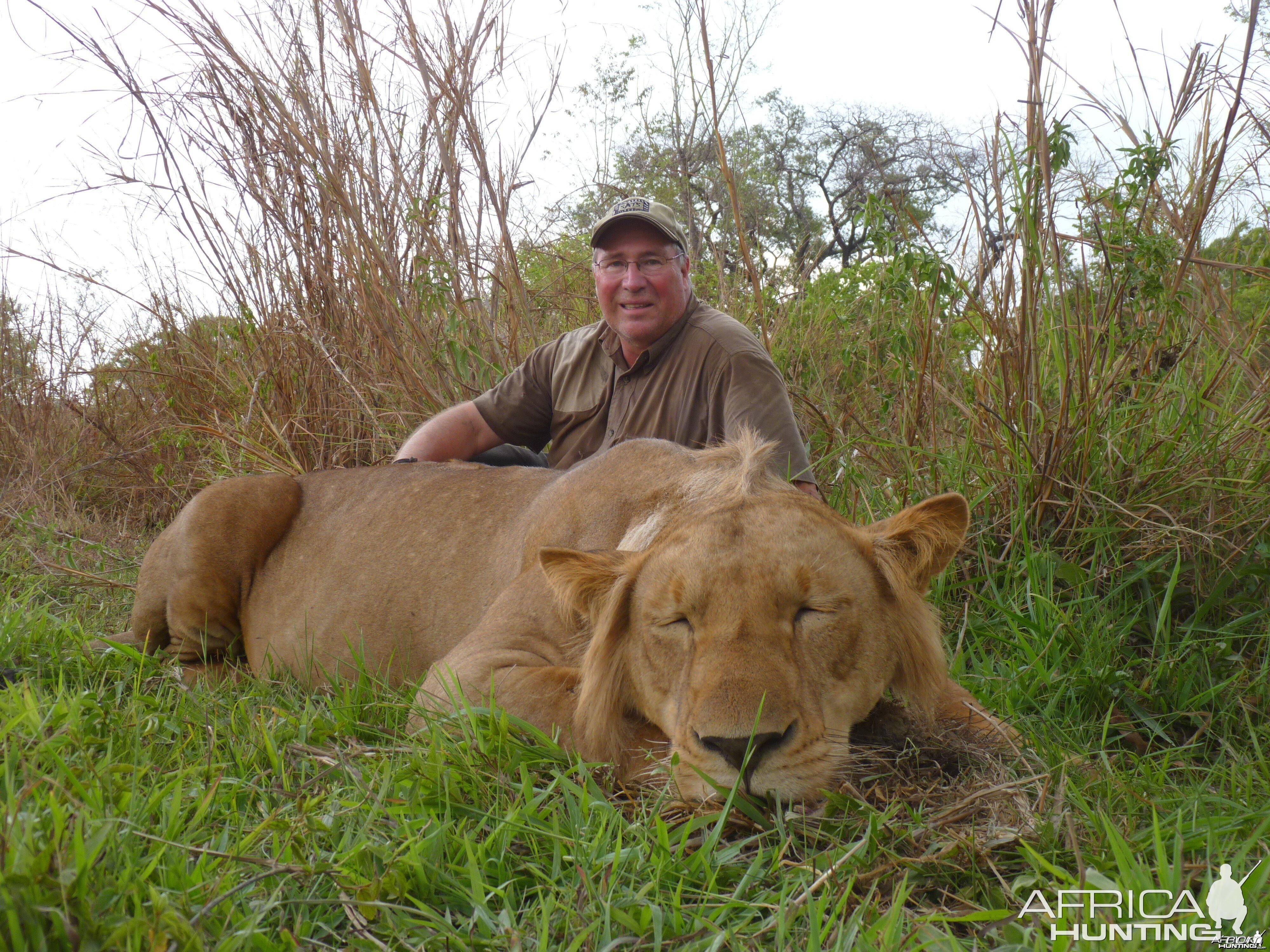 Lion hunted in CAR