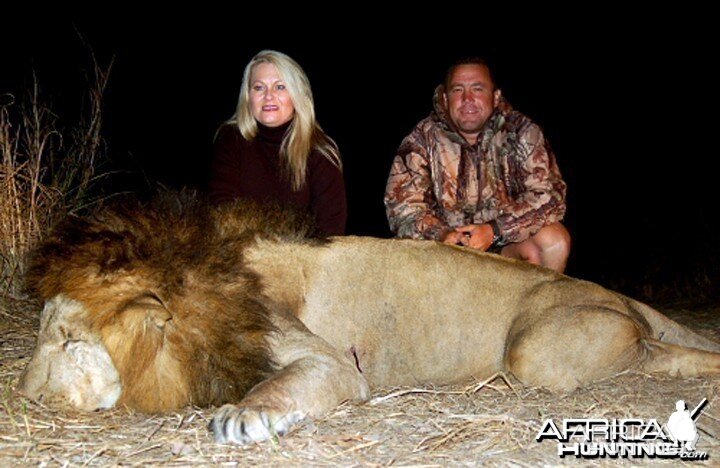 Lion Hunted In Zambia