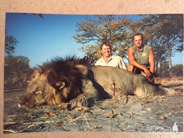 Lion Hunting Botswana