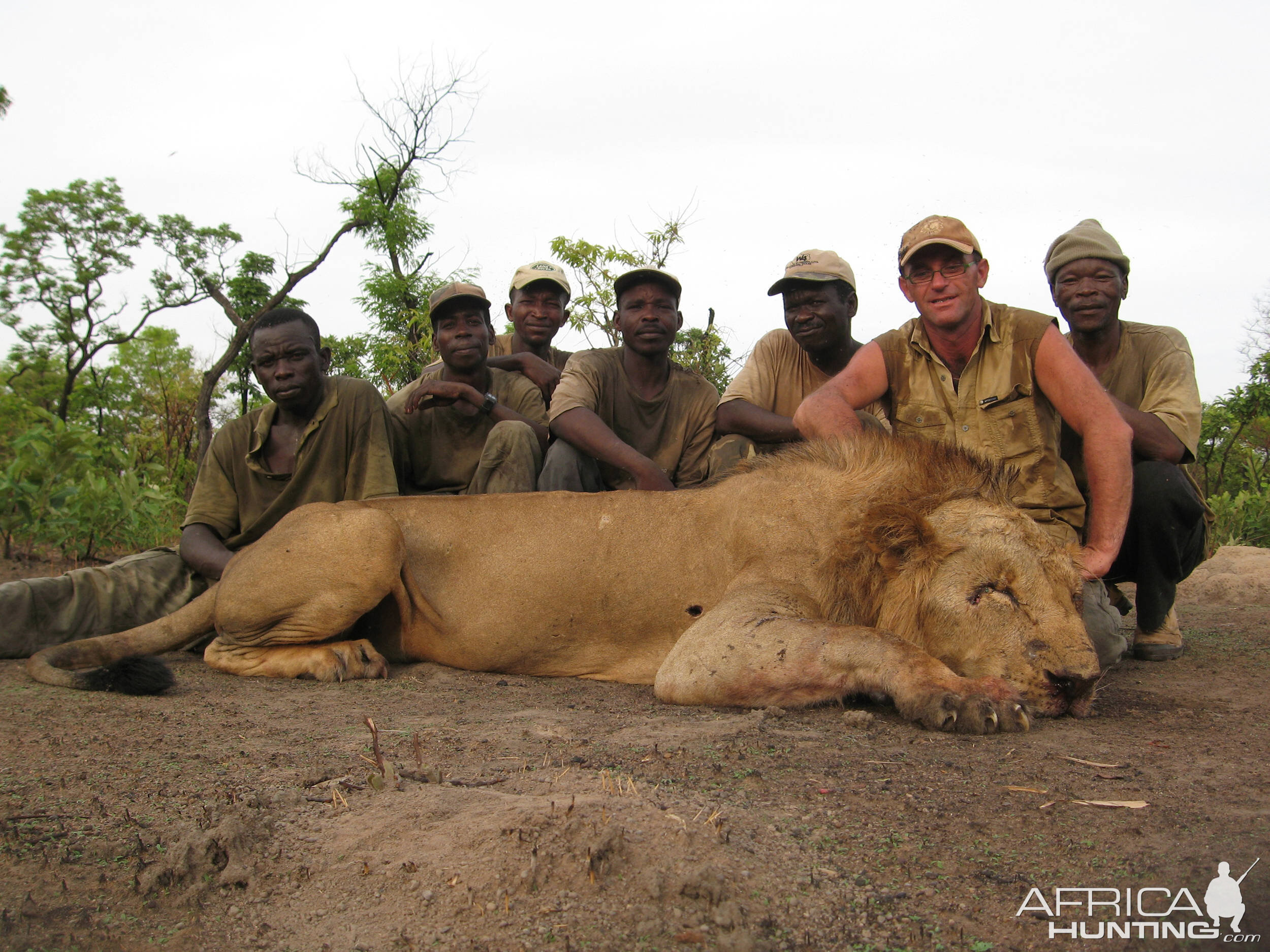 Lion Hunting in CAR