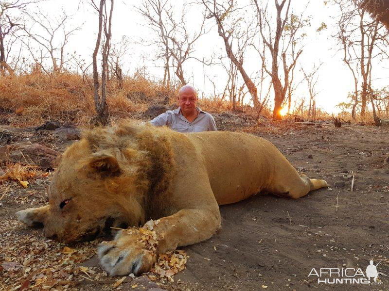 Lion Hunting Mozambique