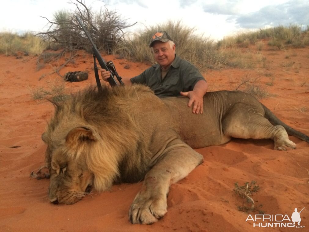 Lion  Hunting Namibia