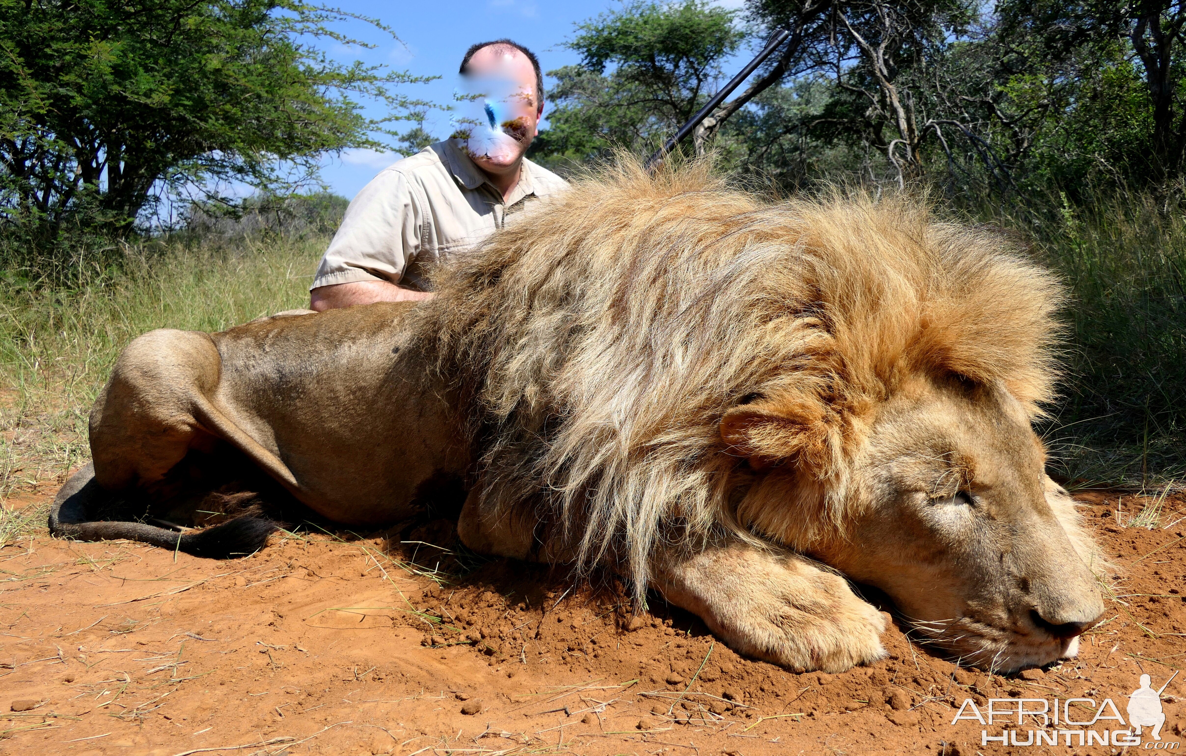 Lion Hunting South Africa