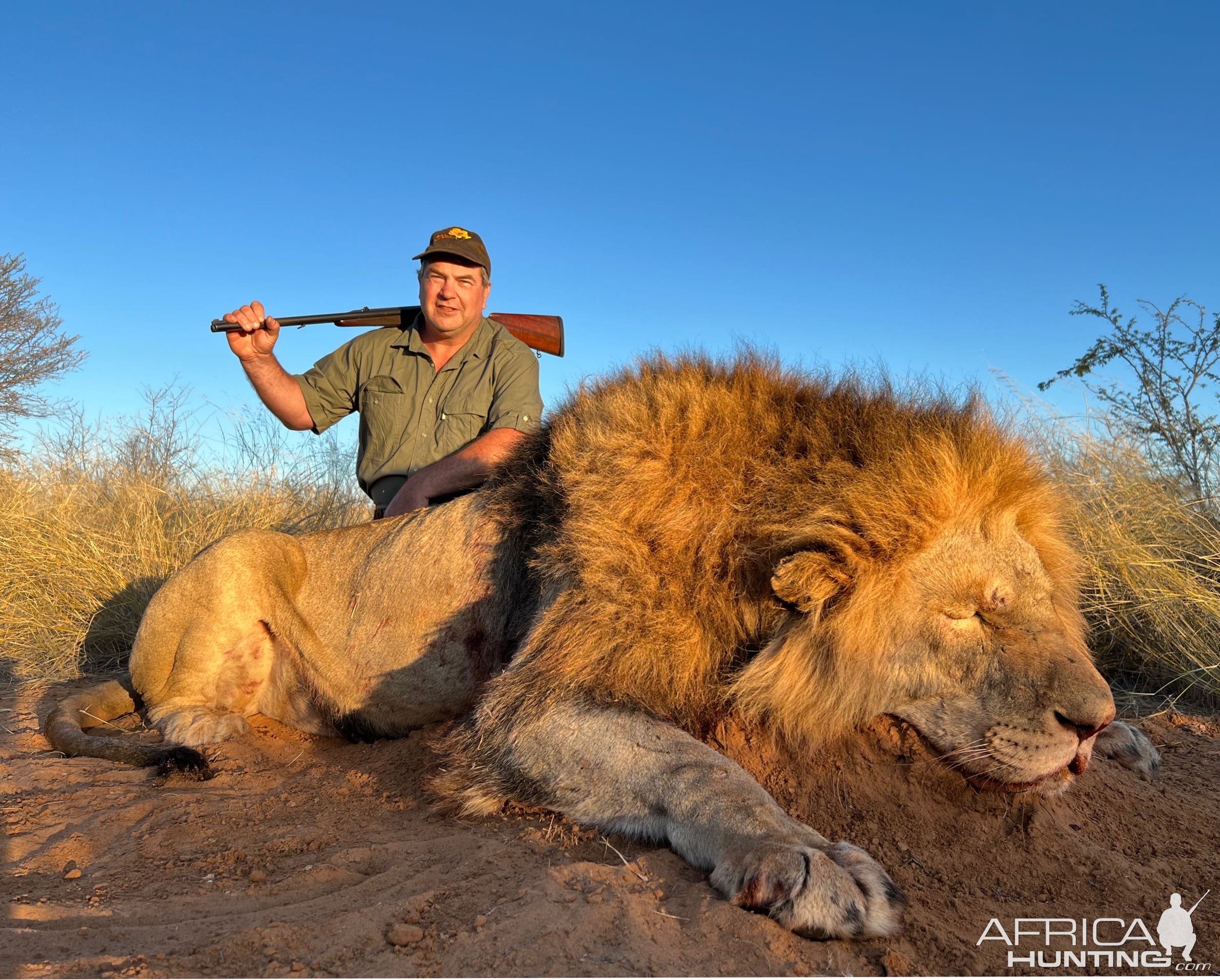 Lion Hunting South Africa | AfricaHunting.com