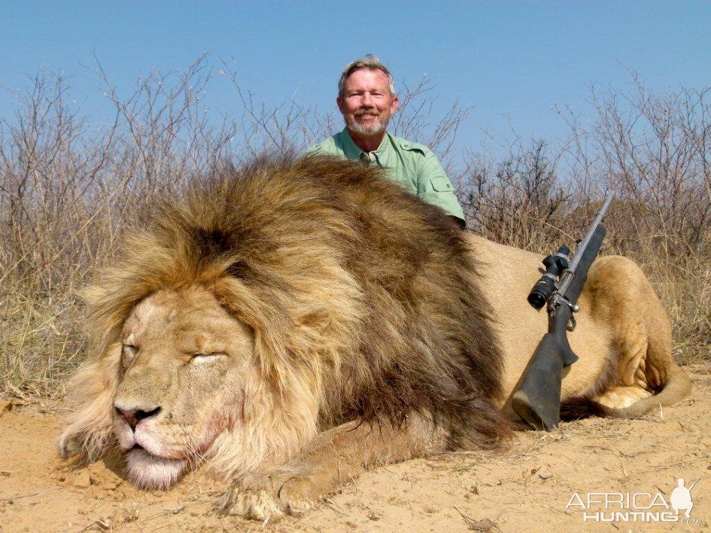 Lion Hunting South Africa | AfricaHunting.com