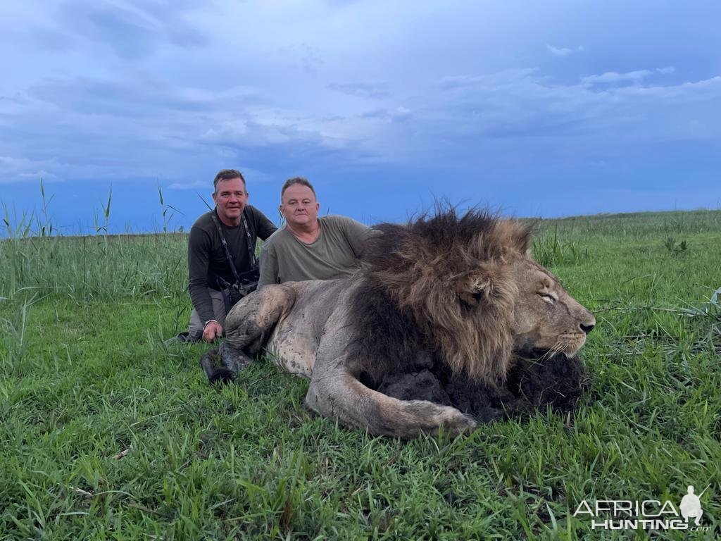 Lion Hunting Zambia