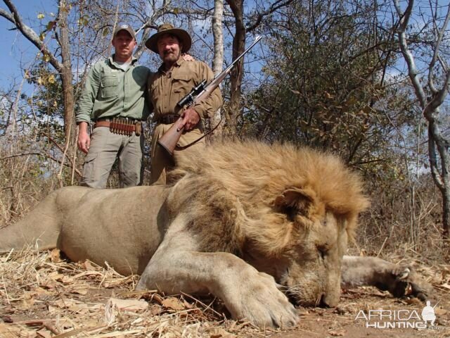 Lion Tanzania Hunt | AfricaHunting.com