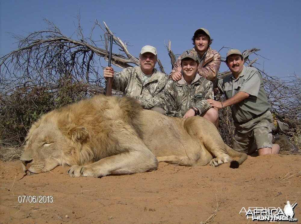 Lion with Savanna Hunting Safari's | AfricaHunting.com