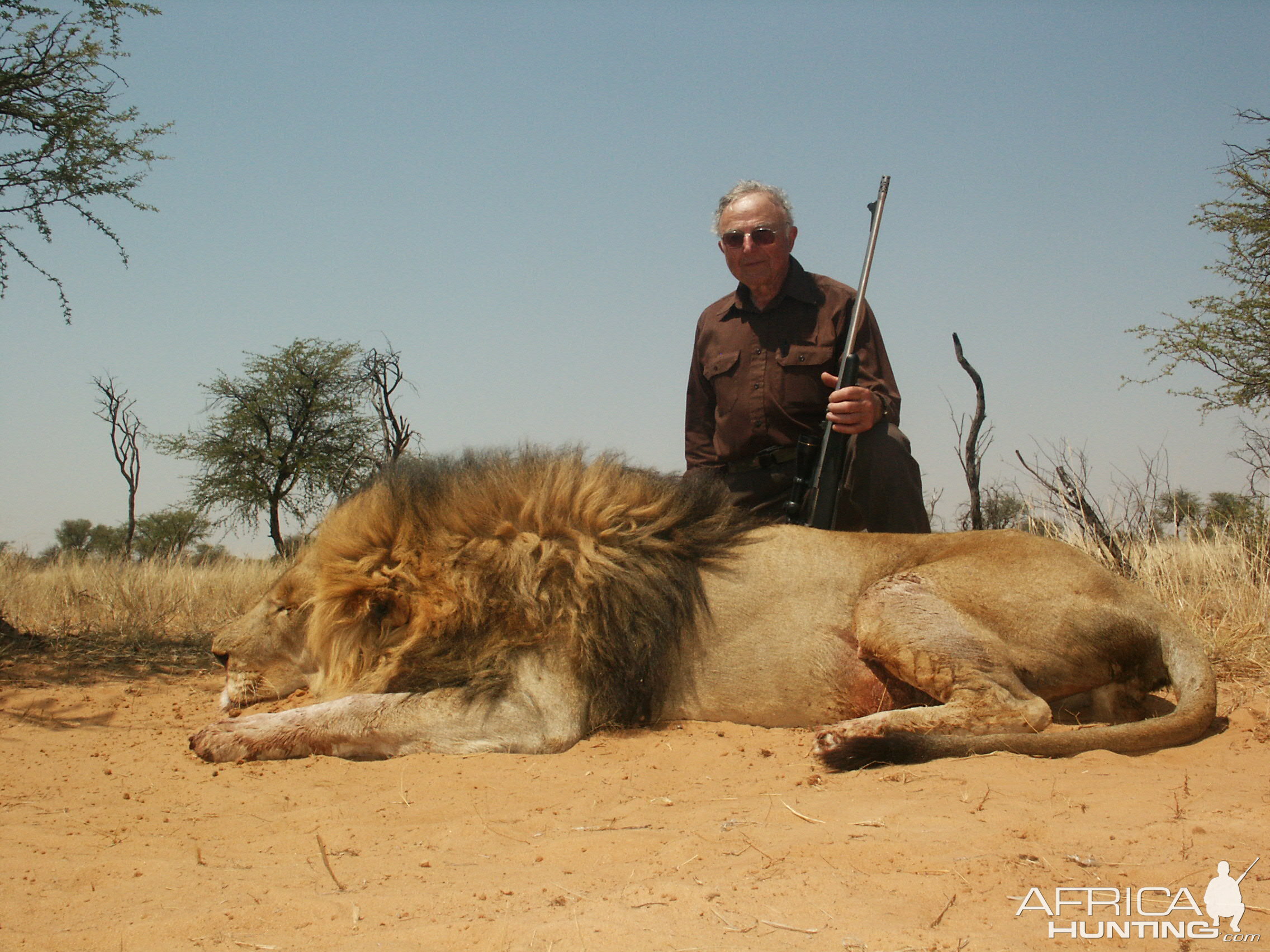 Lion Pictures | Page 5 | AfricaHunting.com