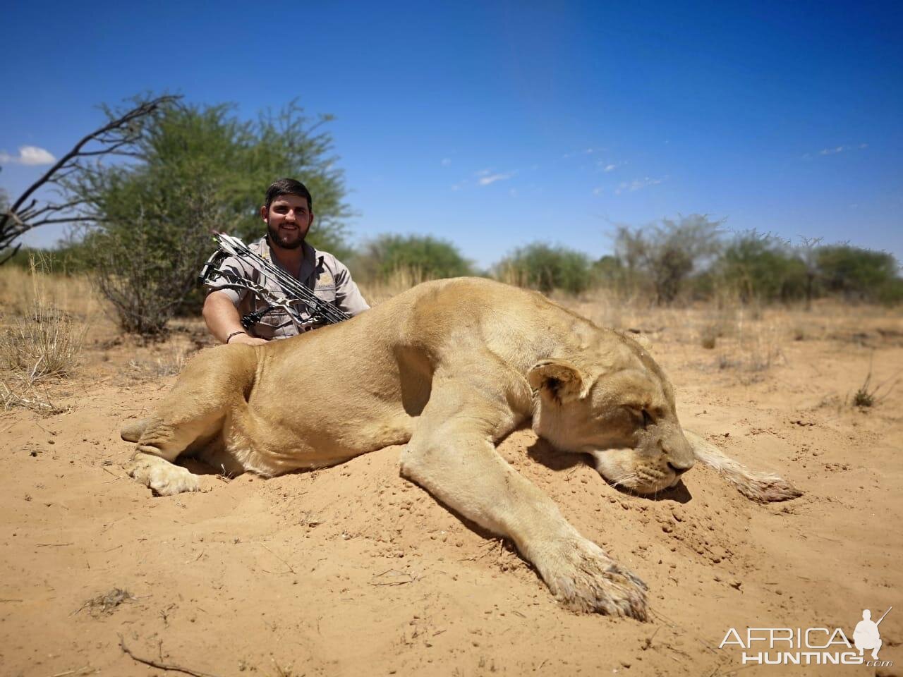 Lioness Bow Hunt